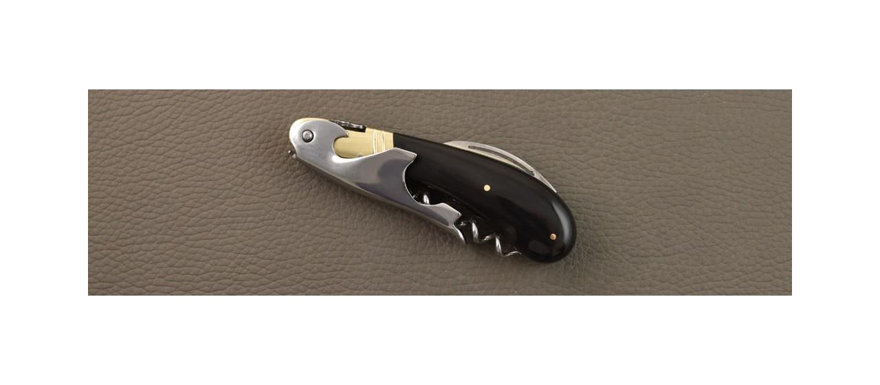 Laguiole Magnum Buffalo horn tip and brass bolster