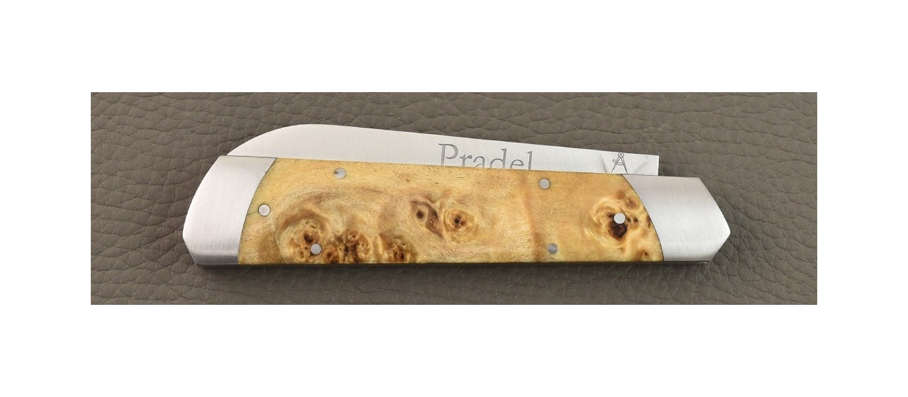 Le Pradel Stabilized poplar burl