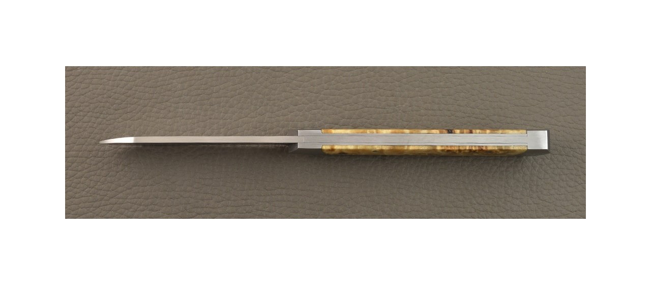 Le Pradel Stabilized poplar burl