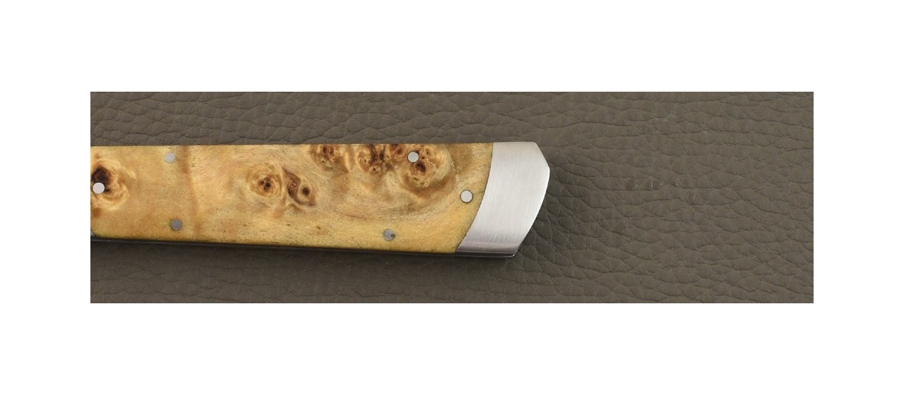 Le Pradel Stabilized poplar burl