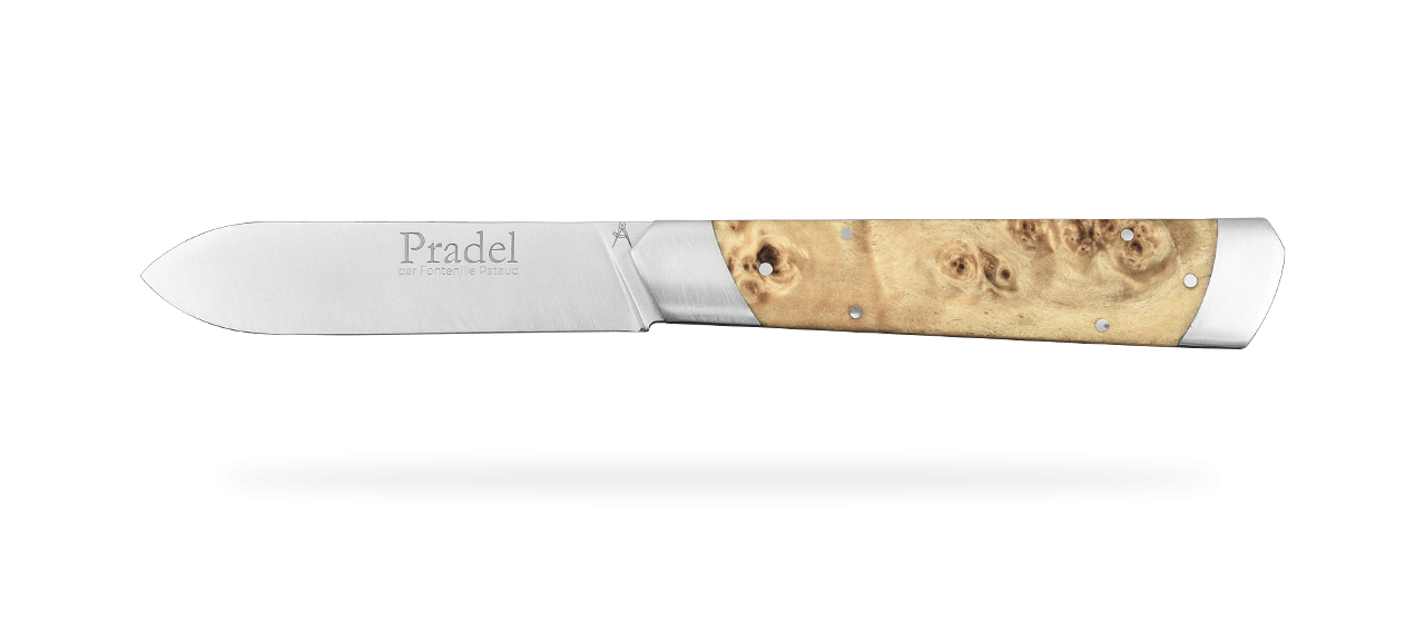 Le Pradel Stabilized poplar burl