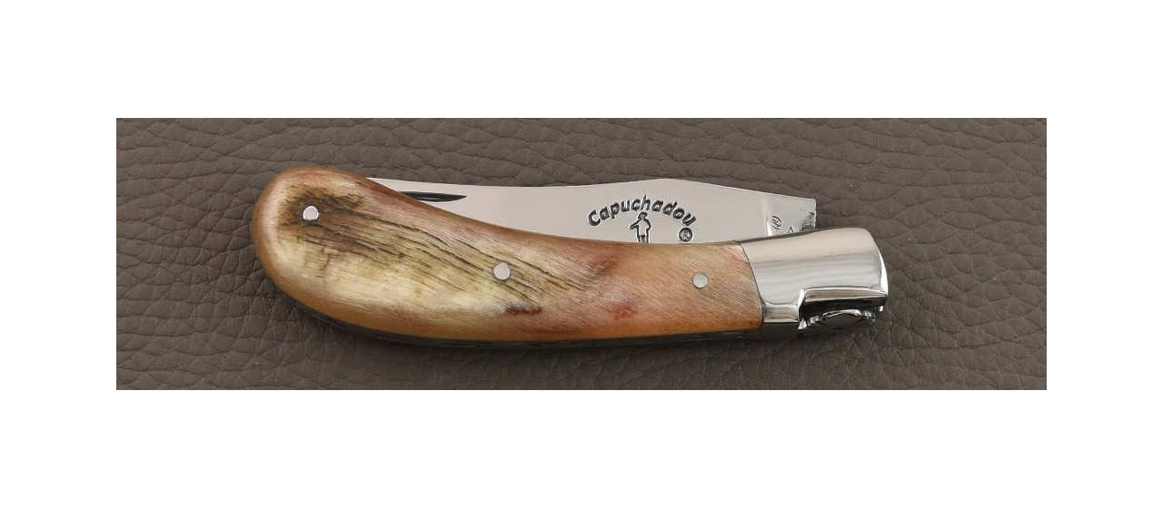 "Le Capuchadou®" 10 cm hand made knife, Ram horn