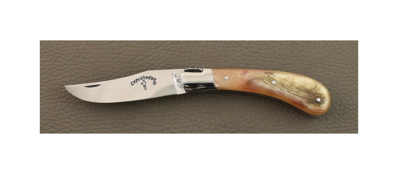 "Le Capuchadou®" 10 cm hand made knife, Ram horn