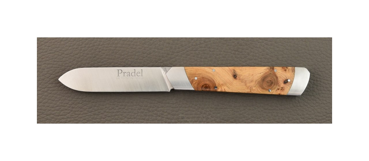 Le Pradel Juniper burl