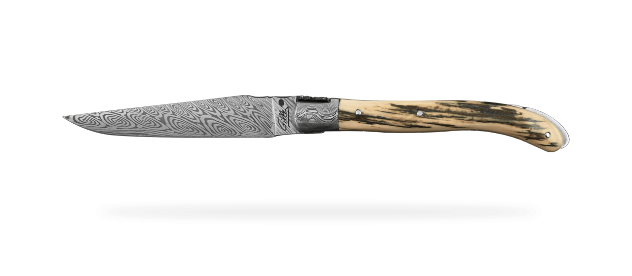 Laguiole XS Damascus Range Fossilized blue mammoth and delicate filework