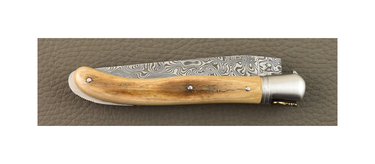 Laguiole Nature Mammoth brown and Damascus blade