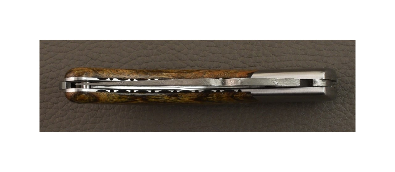 Corsican Rondinara "Guilloché" Damascus Range Bocote wood