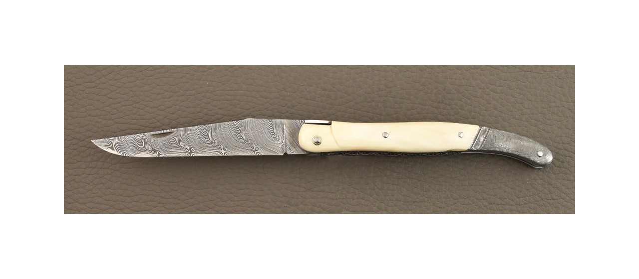 Laguiole knife 12cm Damascus Warthog with engraving
