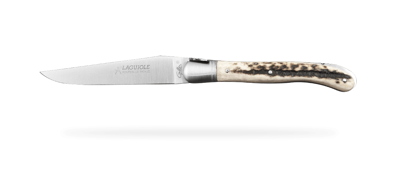 Buy a Laguiole folding knife