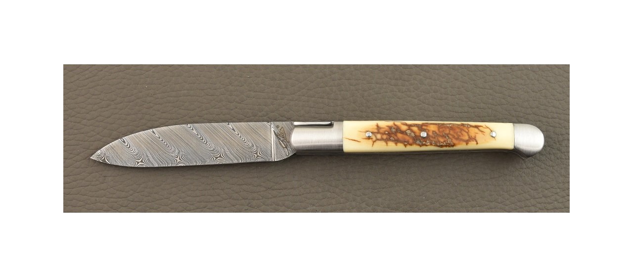 Saint Martin Damascus Range Brown Fossilized Mammoth