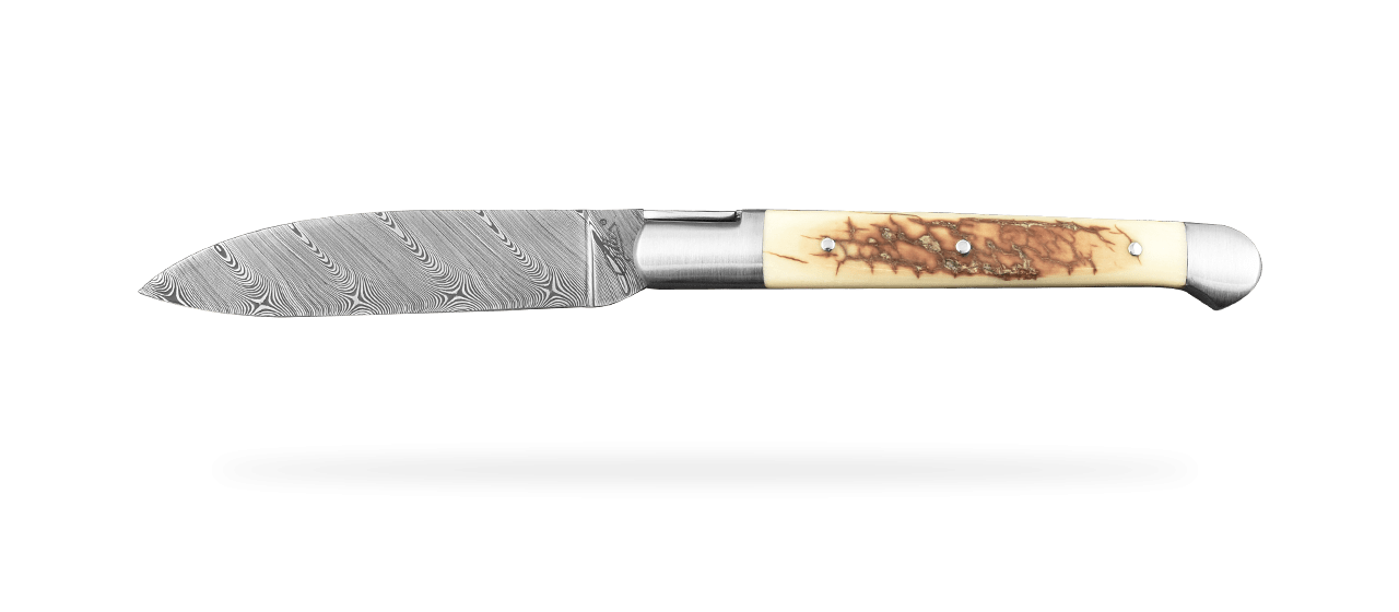 Saint Martin Damascus Range Brown Fossilized Mammoth