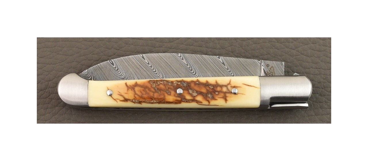 Saint Martin Damascus Range Brown Fossilized Mammoth