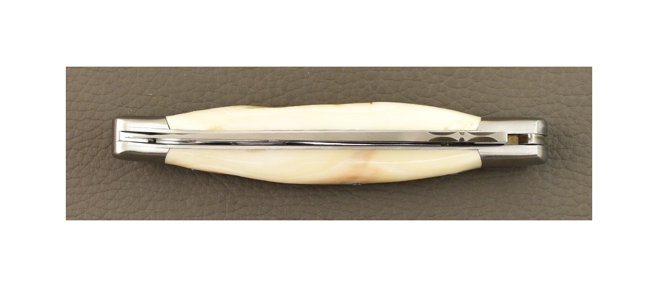 Laguiole Traditionnel 13 cm Classique Phacochère