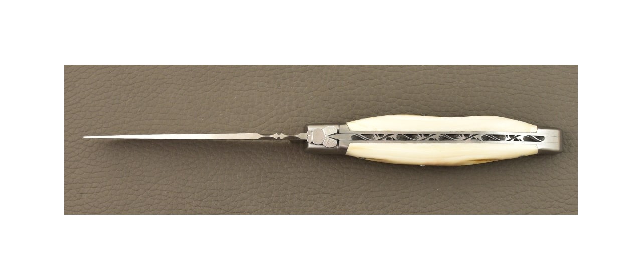 Laguiole Traditionnel 13 cm Classique Phacochère