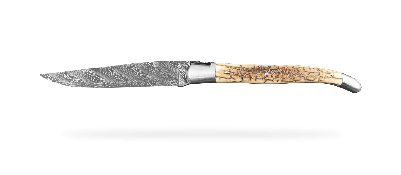 Laguiole Traditional 13 cm Damascus Range Brown fossilized Mammoth