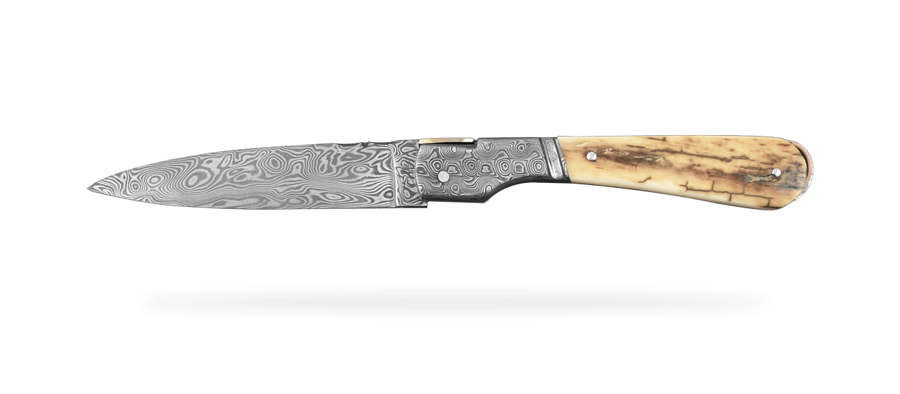 Corsican Sperone Damascus Range Brown fossilized Mammoth, Delicate file work