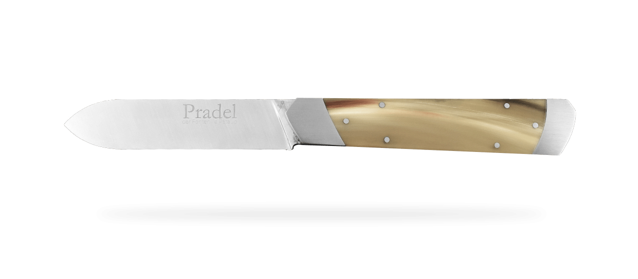 Le Pradel knife Horn tip