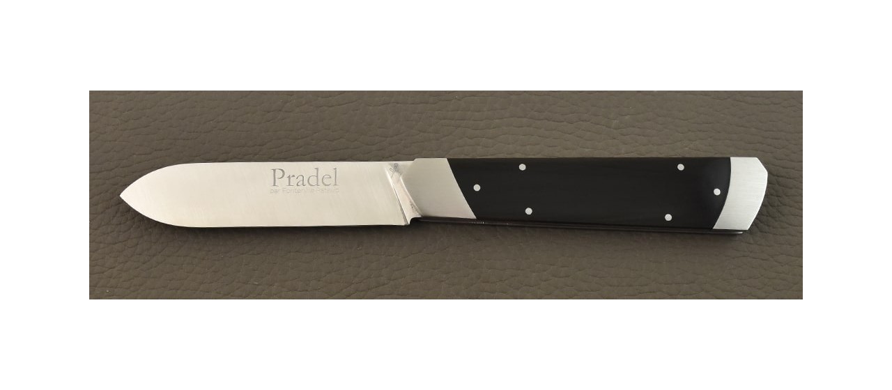 Le Pradel knife Black Horn tip