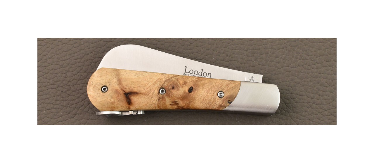 London 11 cm Loupe de peuplier