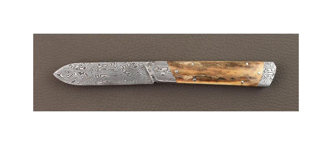 French folding knife Pradel damascus & mammoth ivory