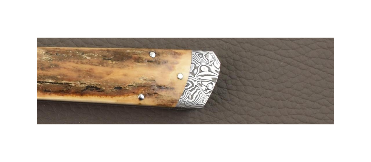 French folding knife Pradel damascus & mammoth ivory