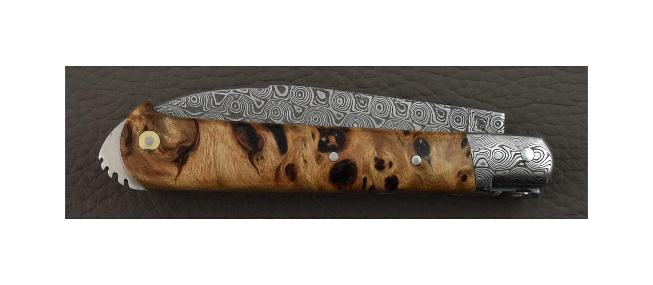 5 Coqs knife Damascus Range Stabilized poplar burl damascus bolster