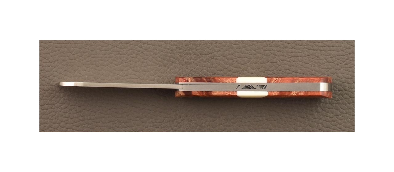 Pen knife London handmade in France red poplar burl