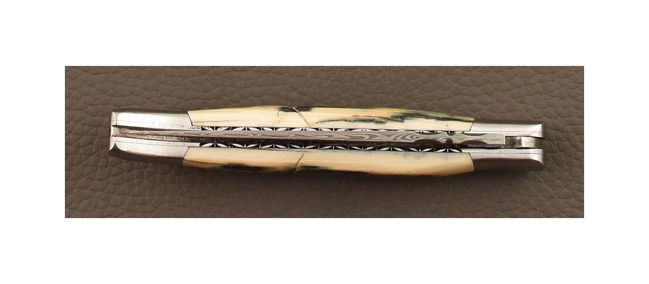 Laguiole Traditional 12 cm Damascus Blue mammoth ivory & engraving