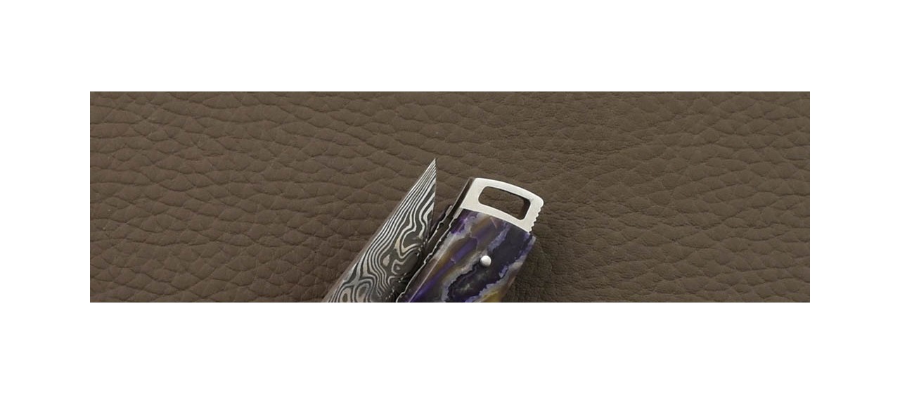 Le Thiers® Nature knife Damascus Molar tooth of mammoth & engraving