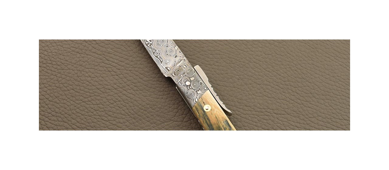 L Anto folding knife, blue mammoth ivory and damascus.