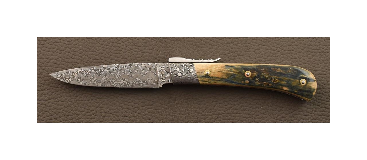 L Anto folding knife, blue mammoth ivory and damascus.