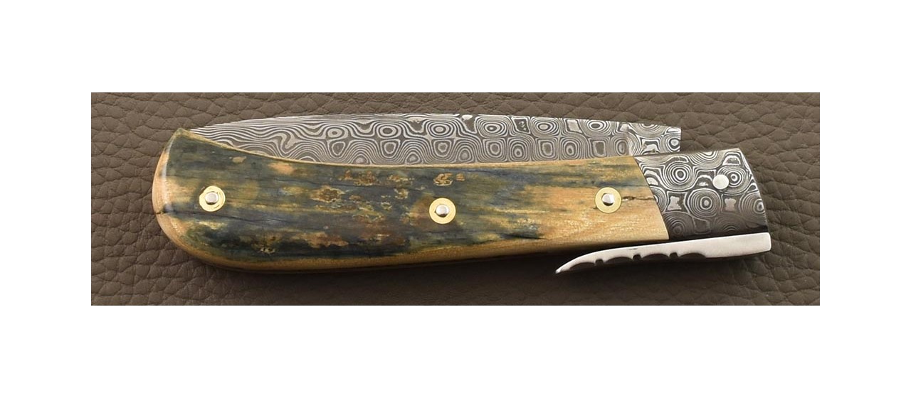 L Anto folding knife, blue mammoth ivory and damascus.