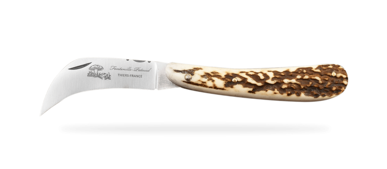 Mushroom knife Stag