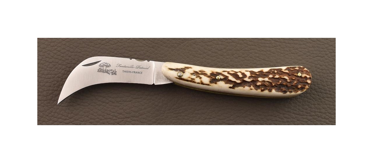 Mushroom knife Stag