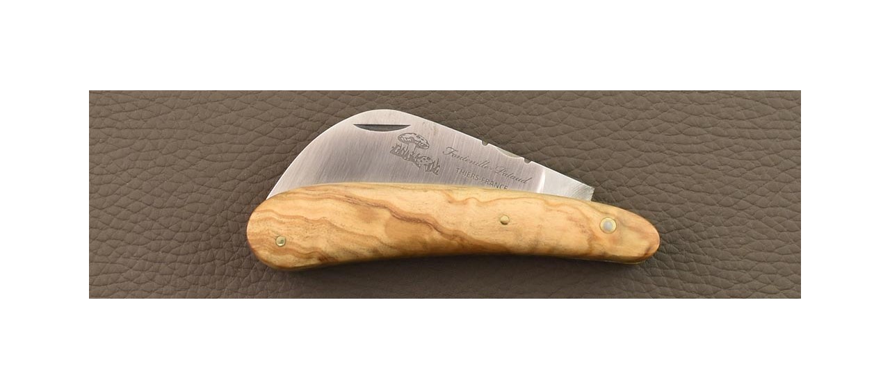 Mushroom knife Olivewood made in France