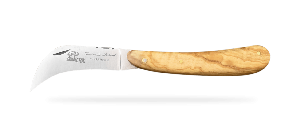 Mushroom knife Olivewood made in France