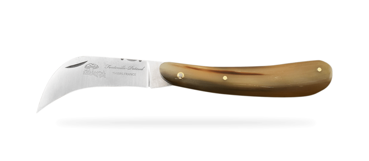 Mushroom knife Horn tip by Fontenille Pataud handmande in France