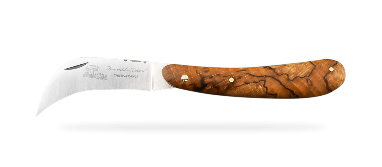 Handmade mushroom picking knife