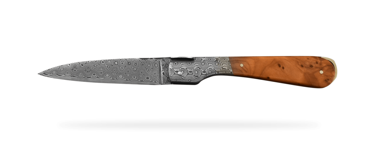 Corsican Sperone knife "Guilloché" Damascus Range Thuya burl