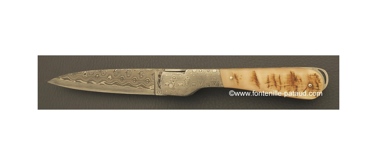 Corsican Sperone knife Damascus Range Ram horn