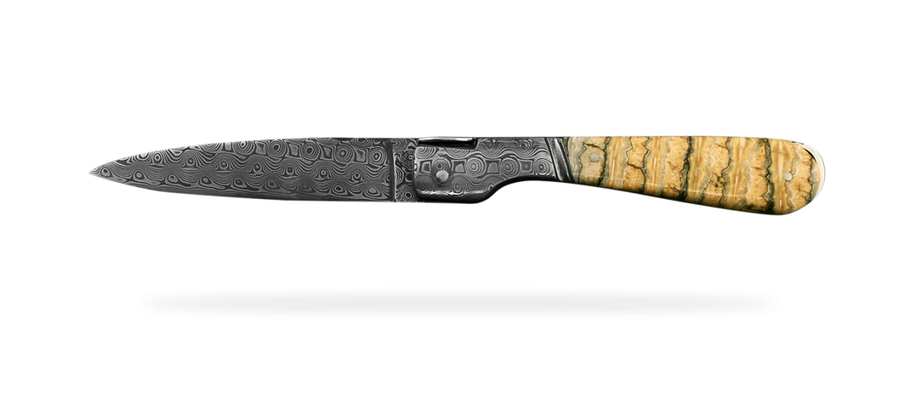Corsican Sperone Damascus Range Molar tooth of mammoth, Delicate file work
