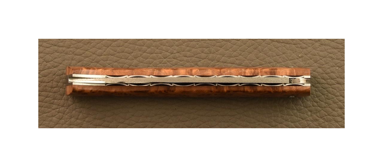Lombard pen knife Damascus blade and Thuya burl