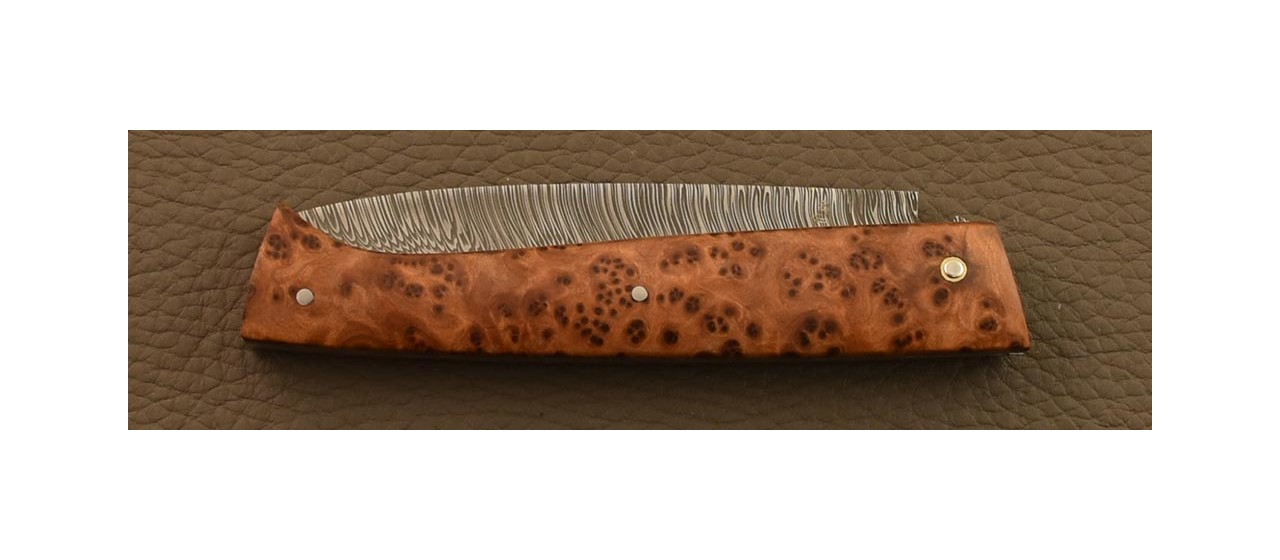 Lombard pen knife Damascus blade and Thuya burl