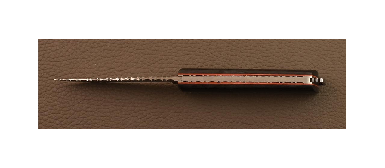 Le Saint-Bernard Alpin knife11 cm Damascus full Carbon fiber