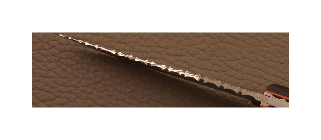 Le Saint-Bernard Alpin knife11 cm Damascus full Carbon fiber