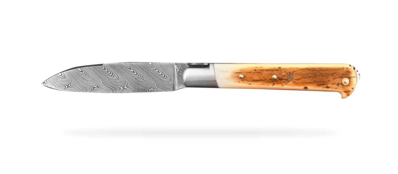 5 Coqs knife Damascus Range Fossilized Mammoth Ivory