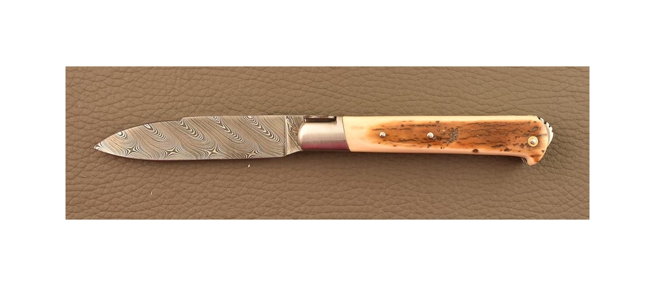 Couteau français 5 Coqs Damas Ivoire de Mammouth Brun
