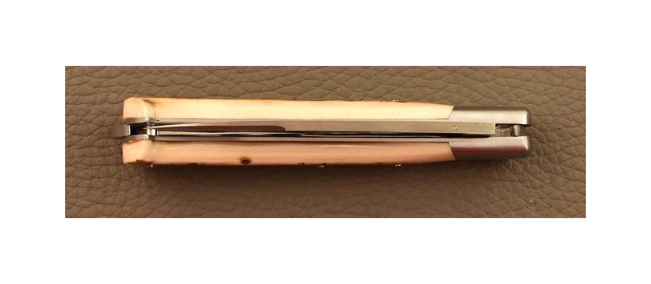 Couteau français 5 Coqs Damas Ivoire de Mammouth Brun