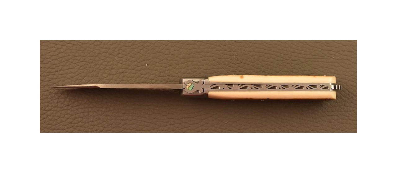 Couteau français 5 Coqs Damas Ivoire de Mammouth Brun