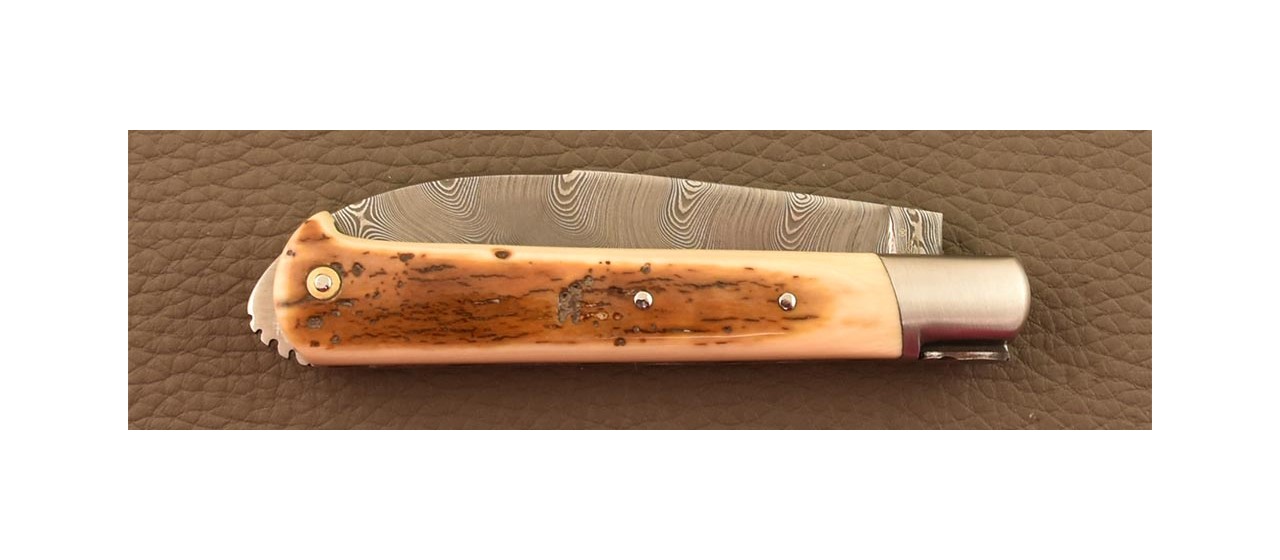 French gentleman knife 5 Coqs knife Damascus Range Fossilized Mammoth Ivory